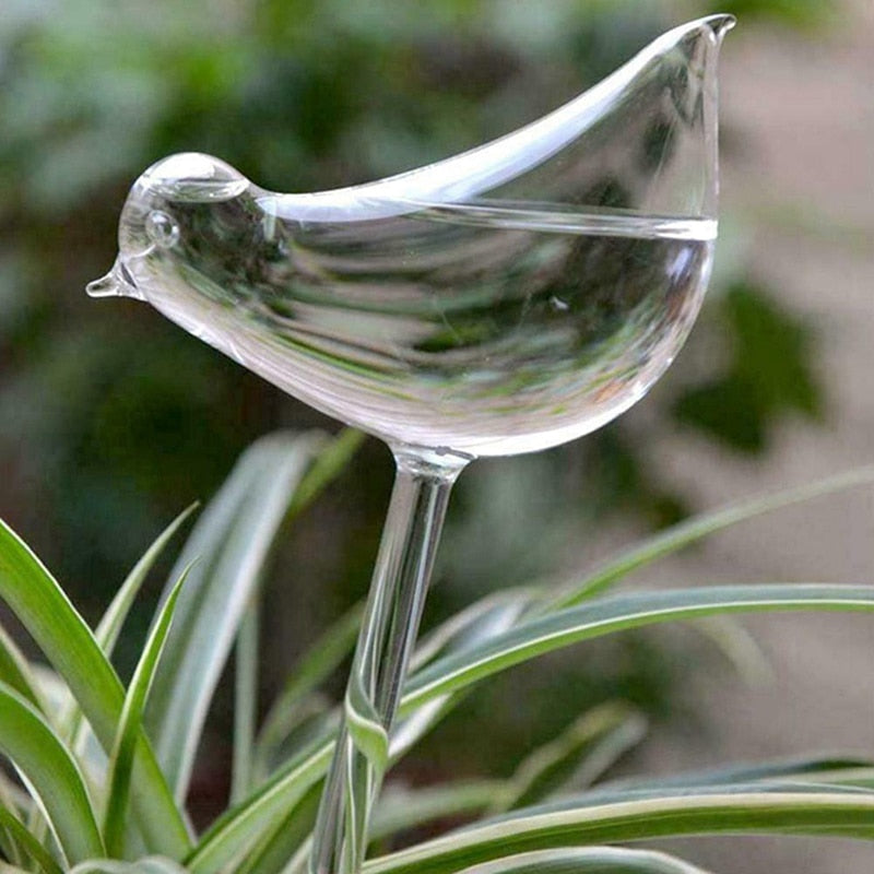 Bird Water Bulb